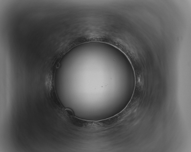 X0000102361348200808011444