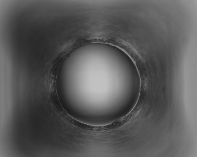 X0000102361350200808011444