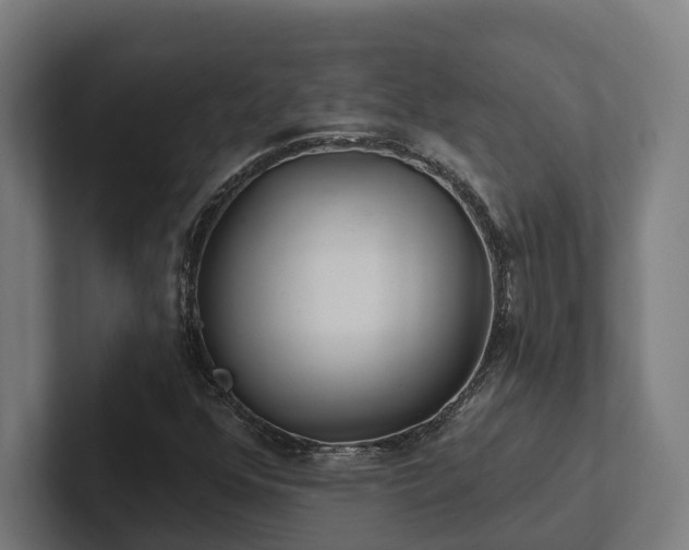X0000102361352200808011444