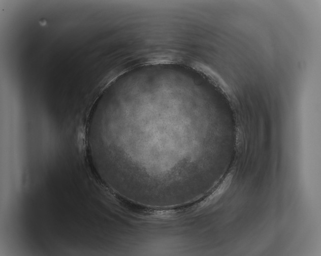 X0000102361353200808011444