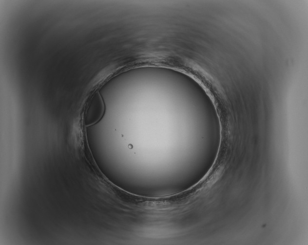 X0000102361354200808011444