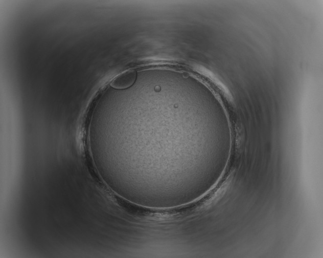 X0000102361357200808011444