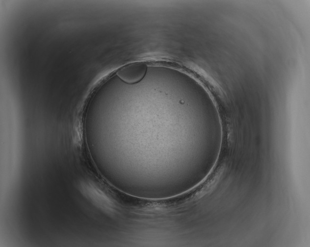 X0000102361358200808011444