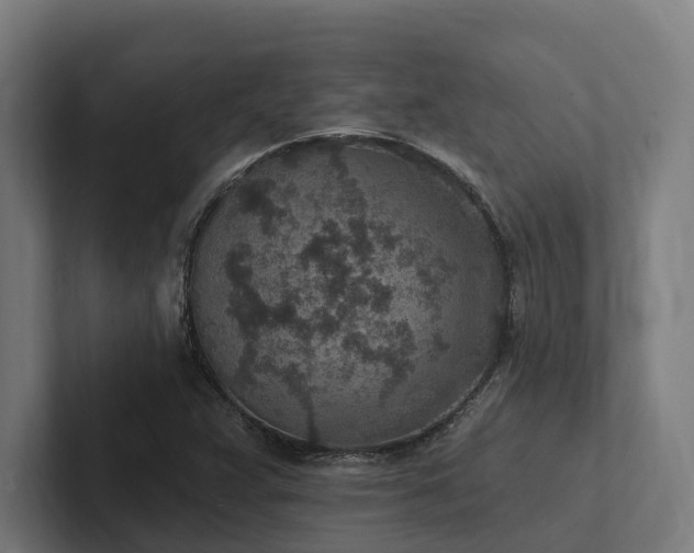 X0000102361359200808011444