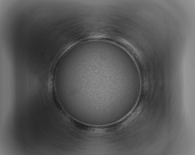 X0000102361361200808011444