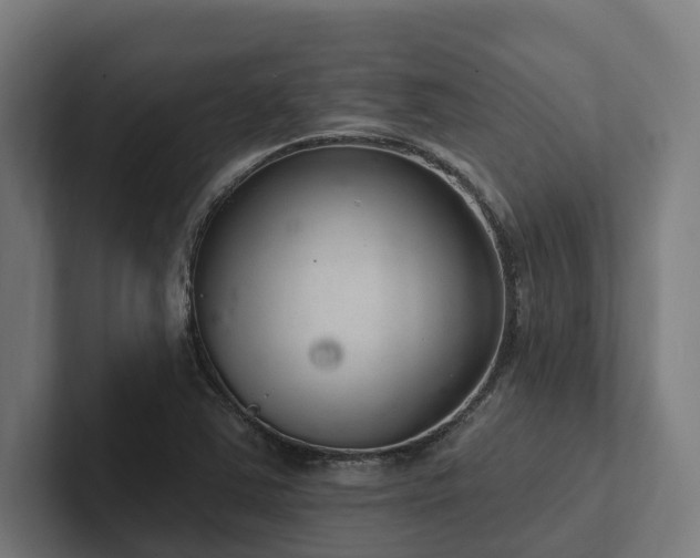 X0000102361363200808011444