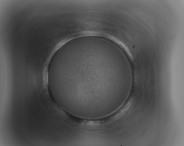 X0000102361365200808011444