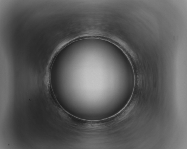 X0000102361366200808011444