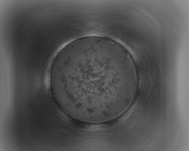X0000102361367200808011444