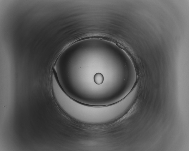 X0000102361369200808011444