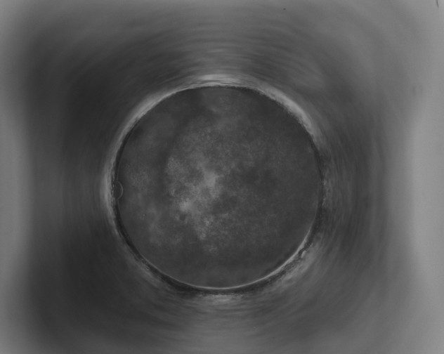 X0000102361373200808011443