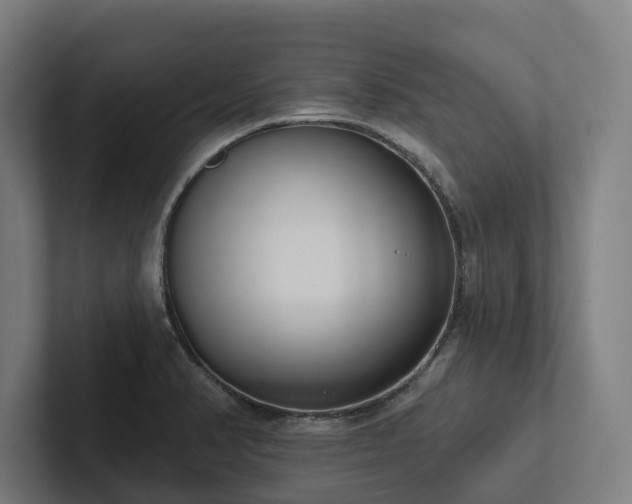 X0000102361374200808011443