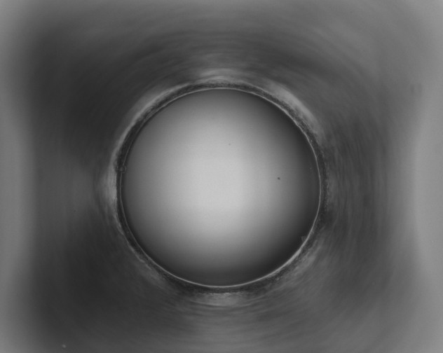 X0000102361376200808011443