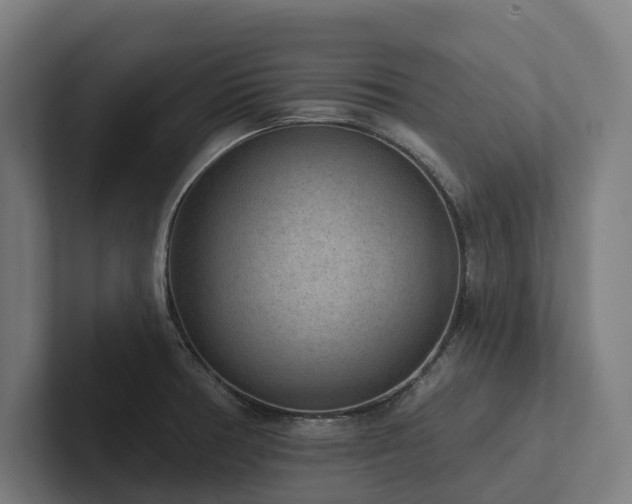 X0000102361378200808011443