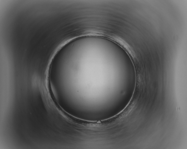 X0000102361379200808011443