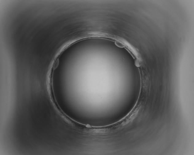 X0000102361381200808011443