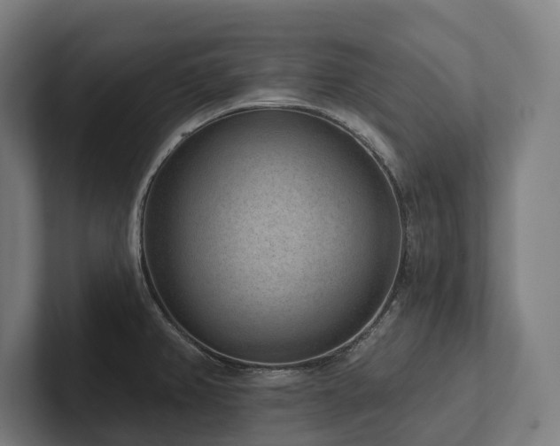 X0000102361382200808011443