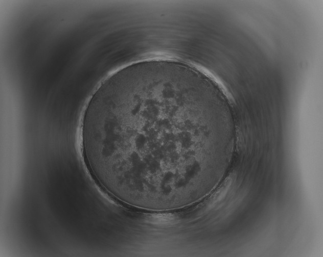 X0000102361383200808011443
