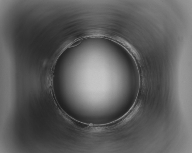 X0000102361385200808011443