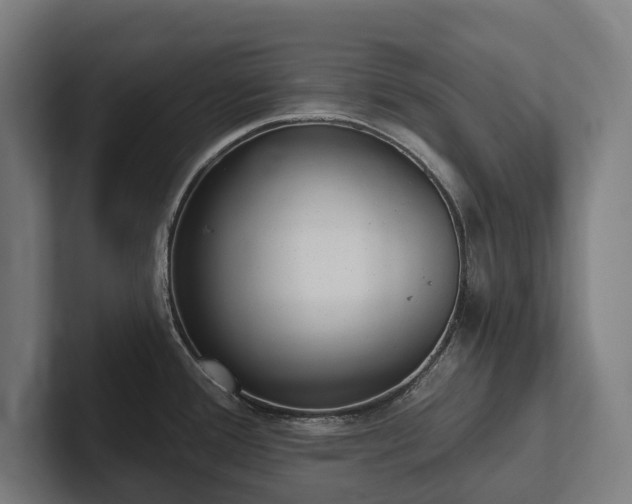 X0000102361388200808011443