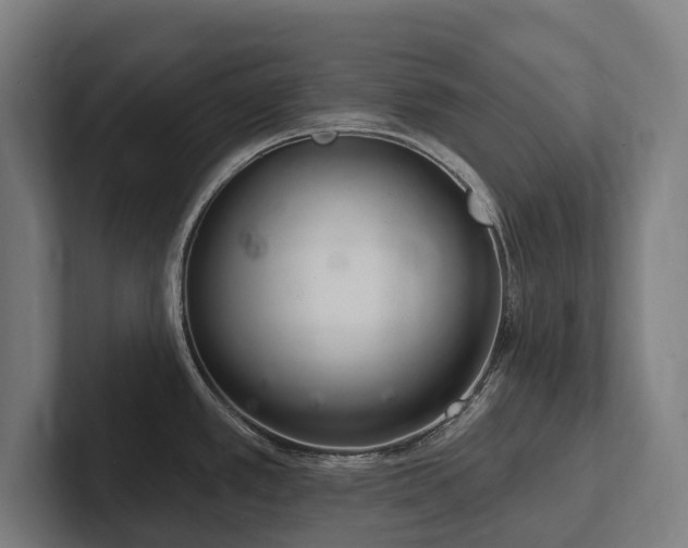 X0000102361389200808011443