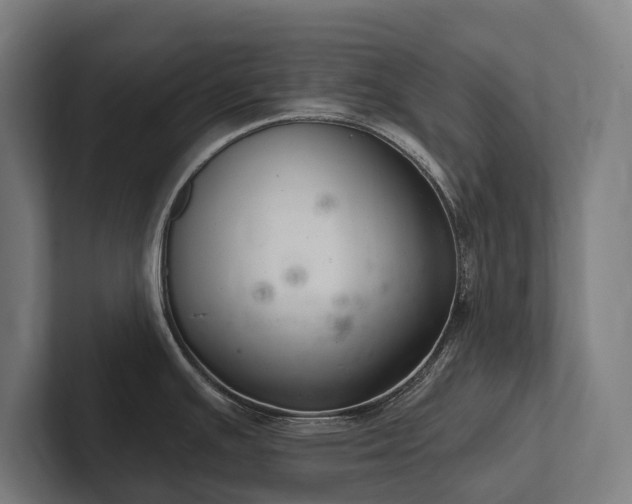 X0000102361391200808011443