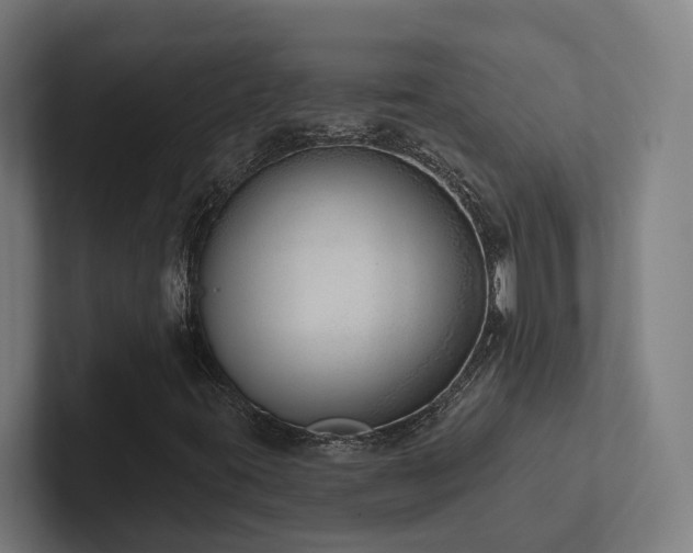 X0000102361395200808011442