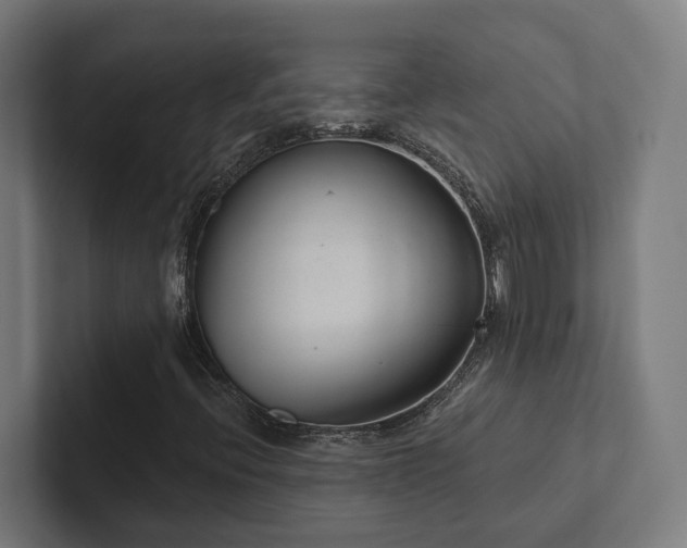 X0000102361396200808011442