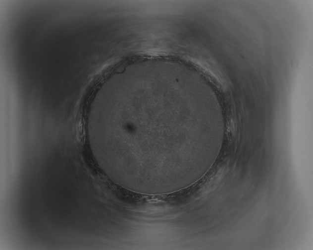X0000102361398200808011443