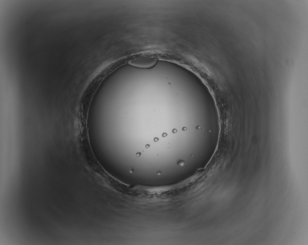X0000102361400200808011443