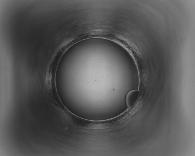 X0000102361402200808011443