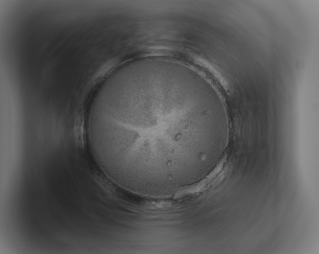 X0000102361403200808011443