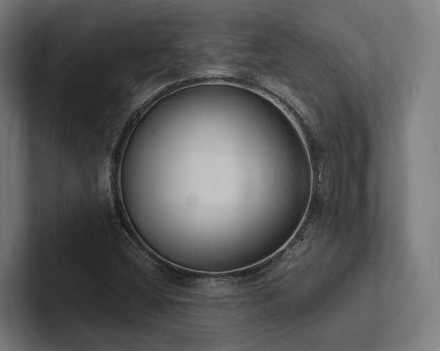X0000102361404200808011443