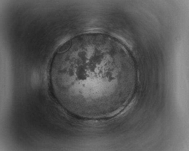 X0000102361405200808011443