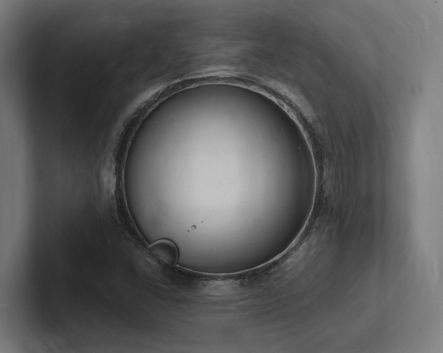 X0000102361406200808011443