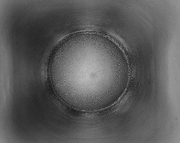 X0000102361407200808011443