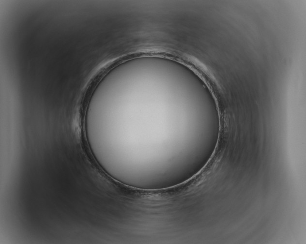X0000102361408200808011443
