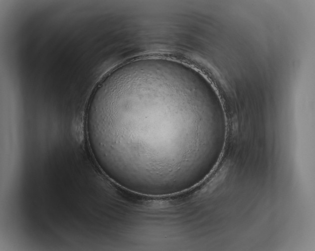 X0000102361409200808011443