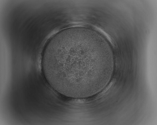 X0000102361411200808011443