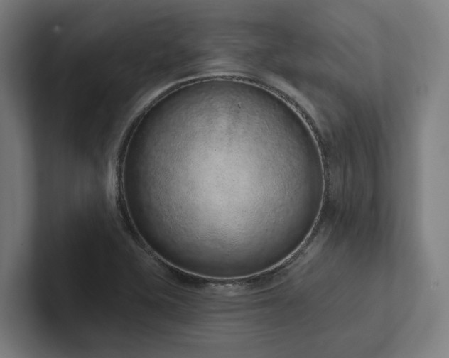 X0000102361415200808011443
