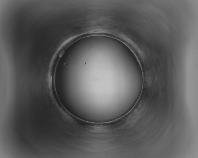 X0000102361416200808011443