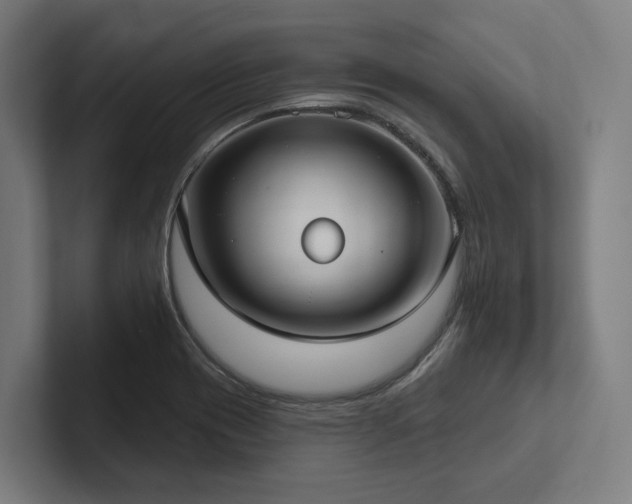 X0000102361417200808011443
