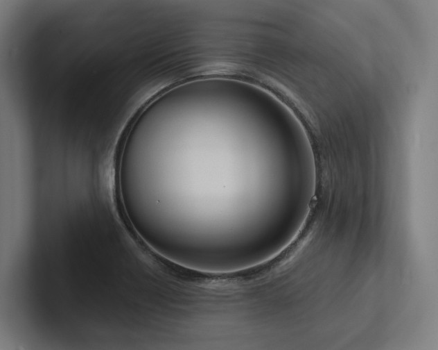 X0000102361418200808011443