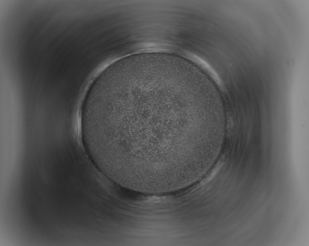 X0000102361419200808011443
