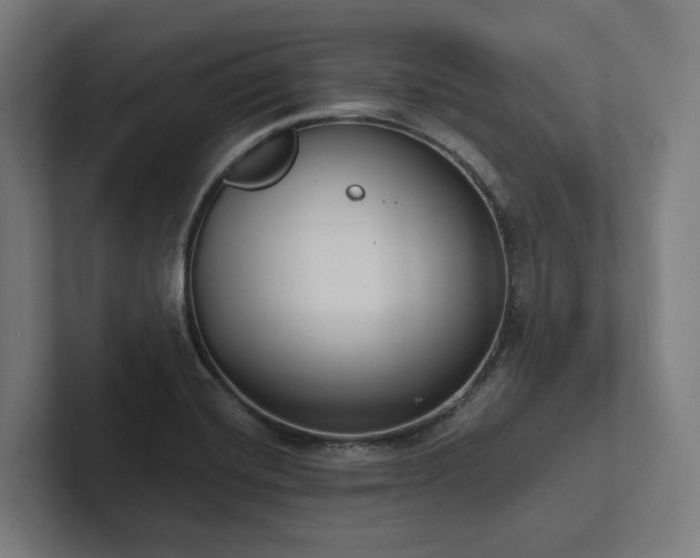 X0000102361420200808011443