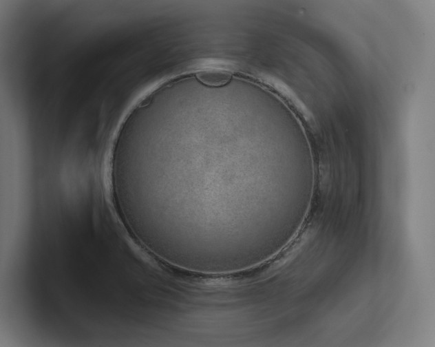 X0000102361421200808011443
