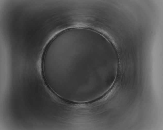 X0000102361422200808011443
