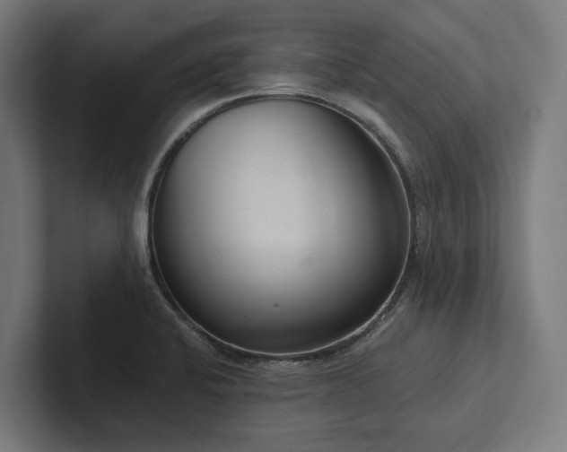 X0000102361424200808011443