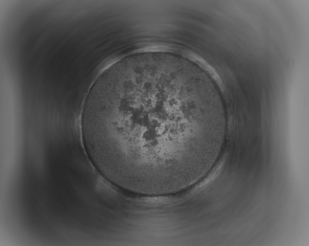 X0000102361425200808011443