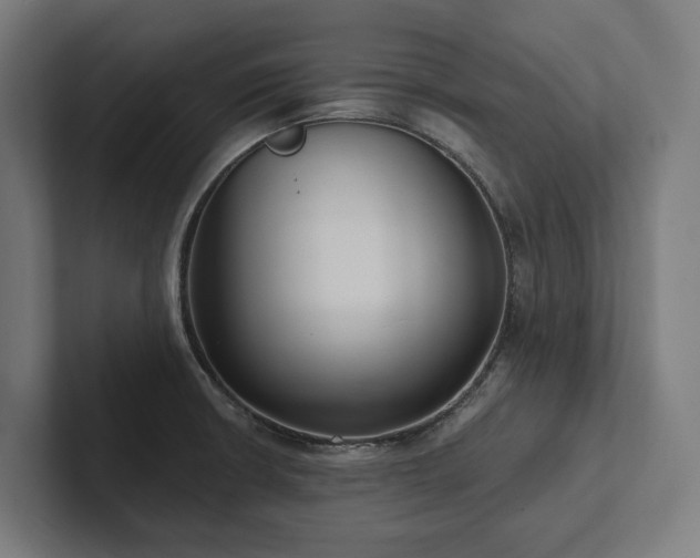X0000102361426200808011443